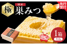  【TVで紹介！】★先行受付★【2025年7月より順次発送】国産　極巣みつ　310ｇ はちみつ ハチミツ 蜂蜜 ハニー 巣蜜 贈り物