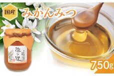 国産 みかんみつ 750ｇ