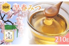 国産 早春みつ 210ｇ
