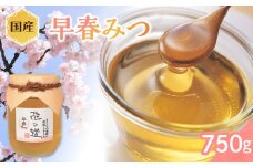 国産 早春みつ 750ｇ