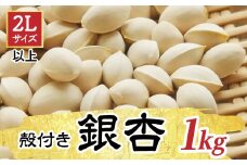 殻付き銀杏【2L以上】（1kg）
