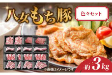 八女もち豚色々セット 計約3キロ 豚肉 肩ロース ロース 切落し ミンチ