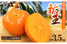 秋の贅沢、濃厚であま～い柿の新ブランド「秋王」約3.5 kg フルーツ 秋の味覚