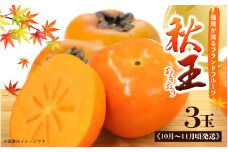 秋の贅沢、濃厚であま～い柿の新ブランド「秋王」(３玉入り) フルーツ 秋の味覚