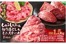 博多和牛 しゃぶしゃぶ＆切り落とし＆ミニステーキ Bセット 博多 和牛 しゃぶしゃぶ ステーキ ブリスケ 切り落とし もも もも肉 赤身 