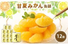 缶詰 甘夏みかん缶詰（全粒）12缶入 国産 甘夏みかん 蜜柑 ミカン みかん 甘夏 フルーツ デザート フルーツ缶詰 保存食 非常用 防災 備蓄食 かんづめ 果物