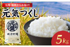 九州・福岡からお届け！ブランド米「元気つくし」5kg×1袋 お米 米 コメ 白米 特A 直送 お弁当 おにぎり 炊きたて ツヤ 粘り もちもち 弾力 卵かけご飯 福岡県 八女市