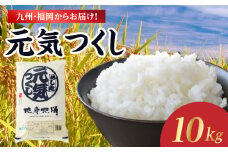 九州・福岡からお届け！ブランド米「元気つくし」 10kg(5㎏×2) お米 米 コメ 白米 特A 直送 お弁当 おにぎり 炊きたて ツヤ 粘り もちもち 弾力 卵かけご飯 福岡県 八女市