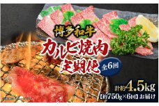 博多和牛 カルビ焼肉（バラ）定期便全6回 肉 お肉 焼肉 牛 牛肉 和牛 バーベキュー BBQ 焼肉