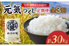 九州・福岡からお届け！ブランド米「元気つくし」定期便 10kg(5㎏×2)【全3回】 お米 米 コメ 白米 特A 直送 お弁当 おにぎり 炊きたて ツヤ 粘り もちもち 弾力 卵かけご飯 福岡県 八女市