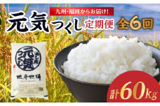 九州・福岡からお届け！ブランド米「元気つくし」定期便 10kg(5㎏×2)【全6回】 お米 米 コメ 白米 特A 直送 お弁当 おにぎり 炊きたて ツヤ 粘り もちもち 弾力 卵かけご飯 福岡県 八女市