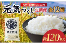 九州・福岡からお届け！ブランド米「元気つくし」定期便 10kg(5㎏×2)【全12回】 お米 米 コメ 白米 特A 直送 お弁当 おにぎり 炊きたて ツヤ 粘り もちもち 弾力 卵かけご飯 福岡県 八女市