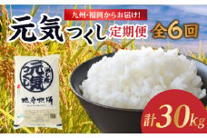 九州・福岡からお届け！ブランド米「元気つくし」定期便【全6回】 お米 米 コメ 白米 特A 直送 お弁当 おにぎり 炊きたて ツヤ 粘り もちもち 弾力 卵かけご飯 福岡県 八女市