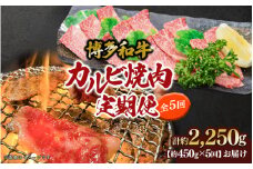 博多和牛 カルビ焼肉（バラ）定期便5回 肉 お肉 博多和牛 和牛 牛肉 カルビ バラ 国産 2～3人前 冷凍 冷凍配送 使い切りサイズ 霜降り 絶品 濃厚 柔らかい ジューシー 家族団らん カルビ丼 焼肉 バーベキュー BBQ 福岡県 八女市