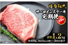 博多和牛 サーロインステーキ 定期便全3回 肉 お肉 焼肉 牛 牛肉 和牛 バーベキュー BBQ ステーキ 焼肉