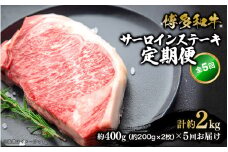 博多和牛 サーロインステーキ 定期便全5回 肉 お肉 和牛 牛肉 焼肉 ステーキ BBQ バーべキュー