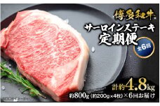 博多和牛 サーロインステーキ 定期便全6回 計約4.8kg 肉 お肉 和牛 牛 牛肉 焼肉 ステーキ バーベキュー BBQ