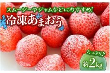 冷凍あまおう（いちご）約2kg いちご あまおう 冷凍 デザート アレンジ ジャム スムージー デザート クール便 冷凍配送 福岡県 八女市