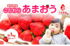 こだわりあまおう 250g×4パック（合計1kg）｜2026年2月～順次発送＜ひらい観光農園＞ あまおう いちご 福岡県限定 産地直送 高級ブランド 土づくり 安全性 濃厚な味 あかい まるい おおきい うまい 観光農園 苺ジャム トッピング パフェ ショートケーキ 福岡県 八女市