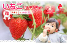 人気の2種いちご食べ比べセット「あまおう500g」＋「かおり野500g」合計1kg｜2026年2月～順次発送＜ひらい観光農園＞ あまおう かおり野 いちご 苺 イチゴ フルーツ 果物 くだもの 人気 旬 福岡県産 食べ比べ 採れたて セット 冷蔵配送 数量限定 期間限定 産地直送 福岡県 八女市