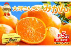 【9月上旬～2月下旬配送予定】【柑橘王国福岡・八女】農家直送！大坪さんちのみかん みかん 立花町 大坪農園 農産直売所 安心安全 肥料配合 福岡県 八女