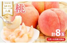 【2026年5月下旬～6月発送】九州・福岡フルーツ王国八女から直送！桃 8玉入り＜配送不可：北海道・沖縄・離島＞ 県 八桃 もも モモ フルーツ くだもの 果物 産地直送 ジューシー 家庭用 自宅用 家族団らん デザート スイーツ作り 福岡女市