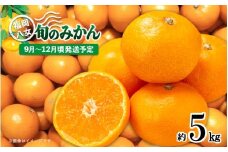 【先行受付】九州・福岡フルーツ王国八女　産地直送！旬のみかん　約5kg【2025年9月～12月頃発送】＜配送不可：北海道・沖縄・離島＞ みかん 旬 極早生 早生 レギュラー No.1 産地直送 福岡県 八女市
