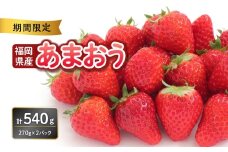 福岡県産あまおう 270g×2パック【2026年3月発送開始】 あまおう いちご 苺 イチゴ フルーツ 果物 くだもの 人気 旬 福岡県産 270g 2パック 産地直送 冷蔵配送 クール便 先行予約 期間限定 福岡県 八女市