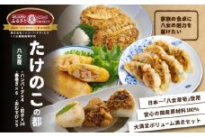 たけのこの都(みやこ) 【ふるさと愛PROJECT】簡単調理 焼くだけ 揚げるだけ レンチン おかず おにぎり たけのこ 筍 ハンバーグ 餃子 春巻き セット 冷凍 個包装 ギフト プレゼント 福岡県 八女市