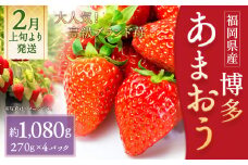 いちご「あまおう」 約270g×4パック 合計約1,080g 苺 果物 フルーツ 【2026年2月上旬～3月下旬順次発送予定】