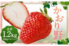 いちご 「かおり野」プレミアム 300g×4パック 約1.2kg【2024年12月下旬から2025年3月下旬まで発送予定】 苺 イチゴ ベリー 果物 フルーツ デザート おやつ お取り寄せ
