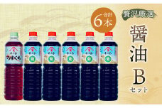 【贅沢厳選】醤油6本 Bセット 1L×6本 九州醤油 薄口 濃口