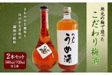 つくし梅酒 2本セット (500ml 17度・720ml 12度) 梅酒