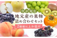 旬の果物 詰め合わせ セット 【2025年6月上旬～順次発送予定】 福岡県産 フルーツ 季節 果物