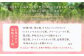 旬の果物 詰め合わせ セット 福岡県産 フルーツ 季節 果物