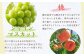 旬の果物 詰め合わせ セット 福岡県産 フルーツ 季節 果物