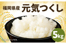 【新米先行予約】令和7年産 元気つくし 5kg×1袋 / 米 お米 ご飯 精米 九州 福岡 【2025年11月以降順次発送開始予定】