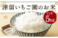 津留いちご園のお米 白米 農薬・化学肥料不使用（栽培期間中） 5kg