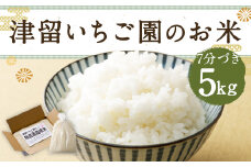 津留いちご園のお米 7分づき  農薬・化学肥料不使用（栽培期間中） 5kg 【2025年11月上旬から2026年10月下旬順次発送予定】 米 お米 ご飯 九州 福岡
