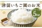 津留いちご園のお米 7分づき  農薬・化学肥料不使用（栽培期間中）5kg