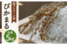 【新米先行予約】【 白米 】 ぴかまる 5kg 低アミロース米 保存袋付き 【2025年11月より順次発送開始予定】