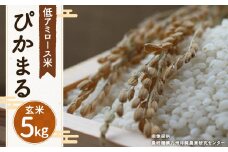 【新米先行予約】【 玄米 】 ぴかまる 5kg 低アミロース米 保存袋付き 【2025年11月より順次発送開始予定】