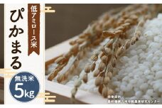 【新米先行予約】【 無洗米 】 ぴかまる 5kg 低アミロース米 保存袋付き 【2025年11月より順次発送開始予定】