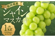 先行予約 シャインマスカット 約1,050g 【2025年8月上旬～9月下旬発送】 ぶどう 葡萄 ブドウ マスカット 果物 フルーツ