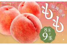  桃 8玉～9玉 福岡県産 産地直送 フルーツ 果物 【2025年6月上旬～7月下旬発送】 もも ピーチ 果物 フルーツ お取り寄せ