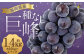 数量限定 種なし 巨峰  約350g×4パック 計約1.4kg ぶどう 福岡県産
