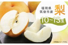 【8月上旬より順次発送予定】先行予約 筑後市産 梨 10～13玉