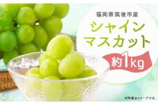 【8月下旬より順次発送予定】先行予約 シャインマスカット 約1kg