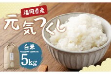 【栽培期間中肥料・農薬不使用】福岡県産 元気つくし 白米 5kg お弁当 【2025年11月上旬より順次発送予定】