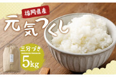 【栽培期間中肥料・農薬不使用】福岡県産 元気つくし 三分づき 5kg お米 白米 お弁当 【2025年11月上旬より順次発送予定】